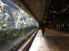 -华夏文旅海洋公园