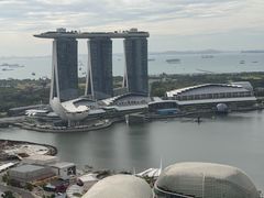 -新加坡瑞士史丹福酒店