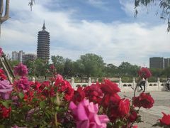 -西海子公园