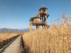 景点-野鸭湖国家湿地公园