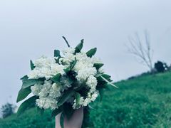 -白鹭湾湿地公园