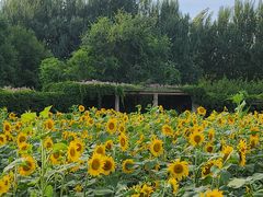 -长春公园(普阳街道)