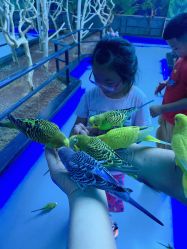-未来动物城动物主题公园(大悦城店)