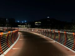 -王借岗森林公园