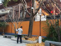 -龙华素斋(龙华路店)