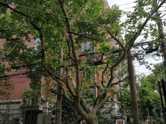 -上海市黄浦区卢湾第一中心小学