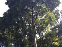 -青城山