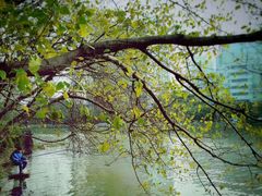 -南通濠河风景名胜区