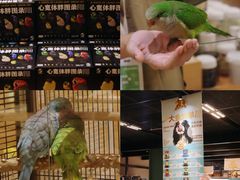 -帕帕拉兹宠物(亚洲旗舰店)