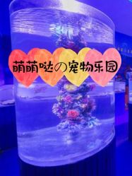 -七巧国萌宠乐园(龙湖天街店)