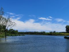 -东郊湿地公园