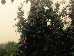 -韩松亭(锦观城店)