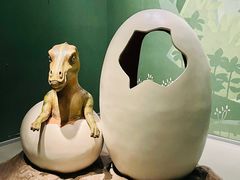 -山东博物馆