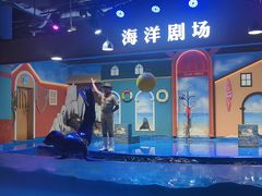 -重庆欢乐海底世界