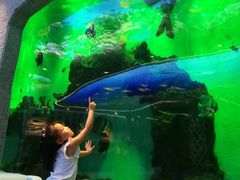 -瑞德姆美人鱼海底演艺主题餐厅(亚龙湾店)