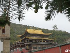 -塔尔寺