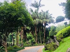 -柳侯公园