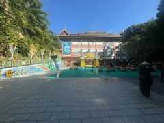 -西双版纳原始森林公园
