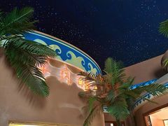 -桃园农庄烤全羊(江秋路店)