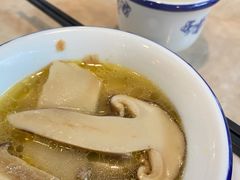 -蘑统田下·野生菌火锅