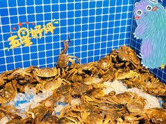 -乔哥铭洋海鲜自助(皇城恒隆广场店)