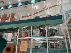 -奈尔宝·儿童乐园·亲子餐厅(鄞州万达店)