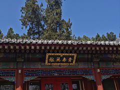 -宫事颐庭·老佛爷贵寿下午茶(颐和园店)