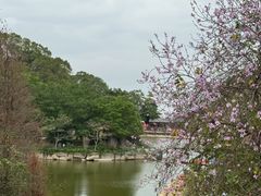 -广州市帽峰山景区