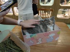 -藦茜花园宠物主题亲子互动体验馆(国顺东路店)