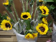 -鹿岛会员店 (龙湖三千集天街店)