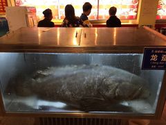 -御唐府海珊瑚主题餐厅