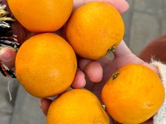 -潇湘·永州会馆(百子湾店)