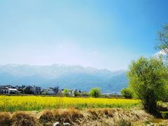 -秦岭风景区