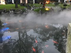 -杭州西湖柳莺里酒店·闻莺厅