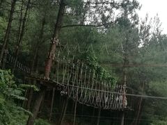 -梦幻奥陶纪景区