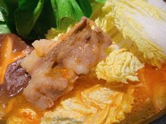 日式泡菜锅-山杏yama-katsu·吉列炸物