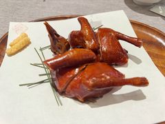 -富豪酒家(正大广场店)