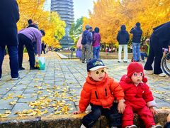-玲珑塔公园