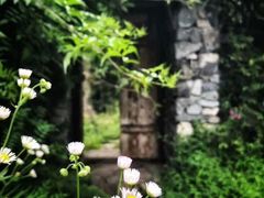 -鱼凫人家
