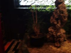 -老浒记烤鸭-北京菜(琉璃厂店)