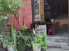 -下面馆