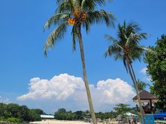 -巴拉湾海滩