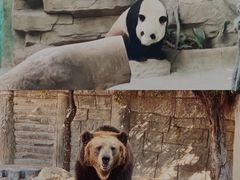 -灵玲国际马戏城