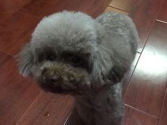 -中农大我爱我爱24h动物医院·中医针灸·猫专科·骨科医疗中心(双井店)