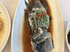 -骏莱海鲜鱼港(五角场店)