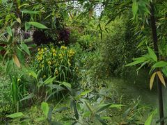 -武汉紫薇都市田园