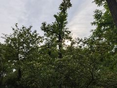 -元大都城垣遗址公园