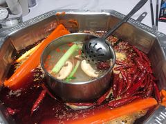 -蜀九香火锅(九眼桥店)