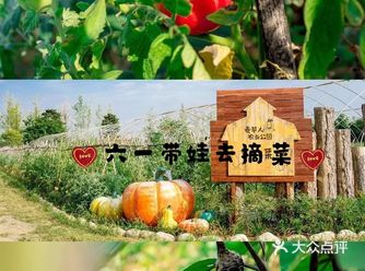 六一假期亲子游推荐｜麦草人有机农业公园