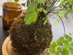 -PlantsEatery·植物食堂(REX春熙店)